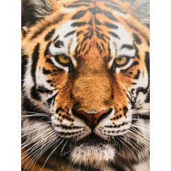 Panneau Carré similicuir 43*43cm : Tigre