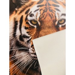 Panneau Carré similicuir 43*43cm : Tigre