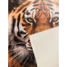 Panneau Carré similicuir 43*43cm : Tigre