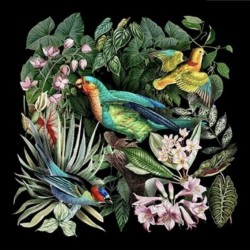 Tissu Carré velours : Oiseaux tropicaux et fleurs