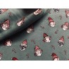 Jersey Noël lutins sur fond vert - OekoTex