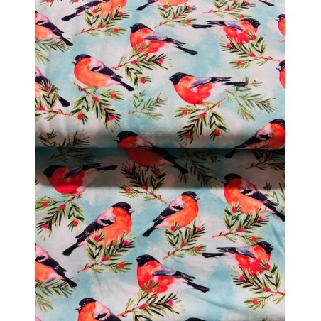 Tissu Jersey de coton oiseaux Rouge gorge - Oekotex