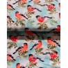 Tissu Jersey de coton oiseaux Rouge gorge - Oekotex