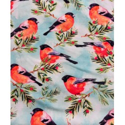 Tissu Jersey de coton oiseaux Rouge gorge - Oekotex
