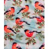 Tissu Jersey de coton oiseaux Rouge gorge - Oekotex