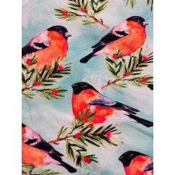 Tissu Jersey de coton oiseaux Rouge gorge - Oekotex