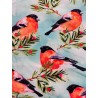 Tissu Jersey de coton oiseaux Rouge gorge - Oekotex