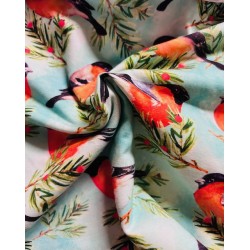 Tissu Jersey de coton oiseaux Rouge gorge - Oekotex