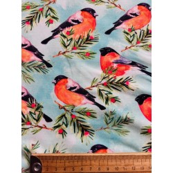 Tissu Jersey de coton oiseaux Rouge gorge - Oekotex