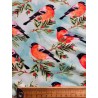 Tissu Jersey de coton oiseaux Rouge gorge - Oekotex