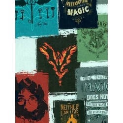 Licence Harry Potter Posters - Coton OekoTex