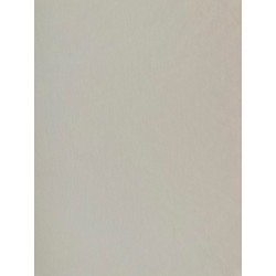 Viscose nylon unie Blanche - OekoTex