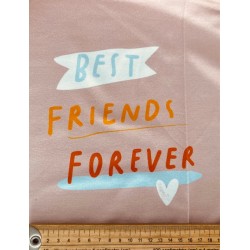 Panneau et notice de montage Katia Robe en jersey 120*150cm : Best Friends forever sur fond rose - OekoTex